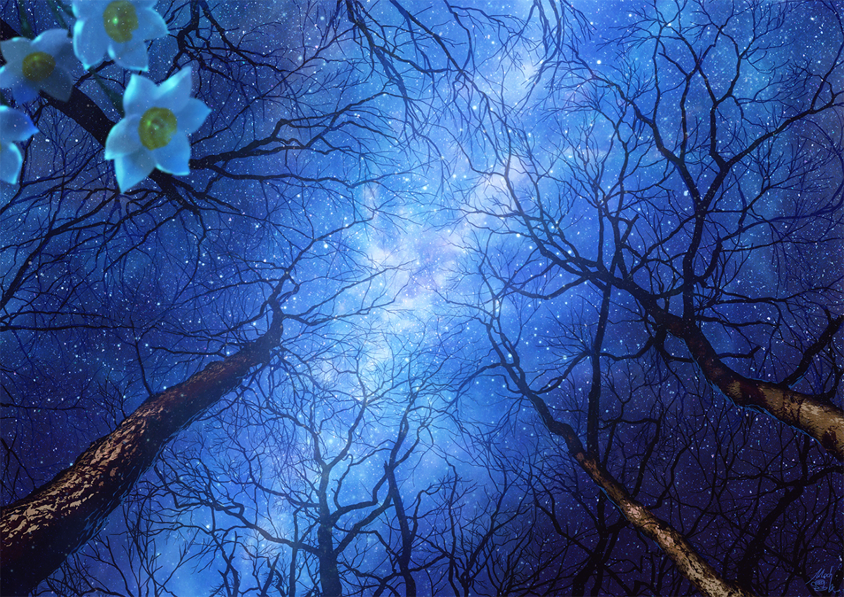 Stars - Art, Drawing, Stars, Forest, Winter, Starry sky, Landscape, Mocha