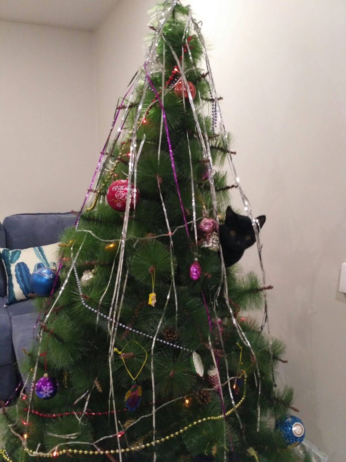 Looks like it's time to switch to plastic - My, New Year, cat, Christmas trees, Longpost