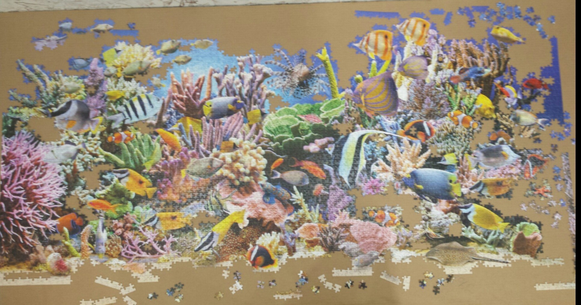 4000 puzzle - My, Puzzle, Hobby, Longpost