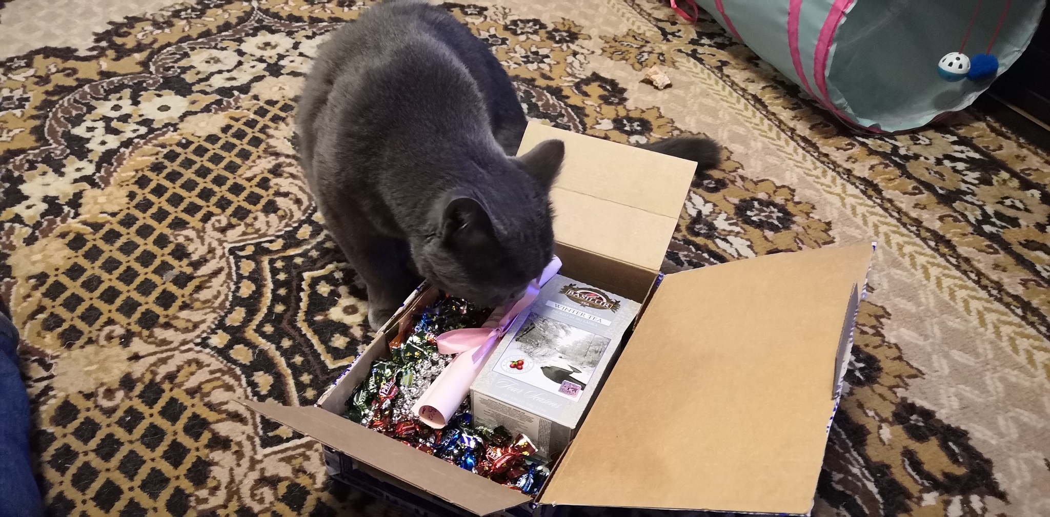 Hooray! I was a good girl in 2019! ADM Peter - Penza - My, Secret Santa, Gift exchange, Holidays, Presents, New Year, Longpost, Gift exchange report, cat