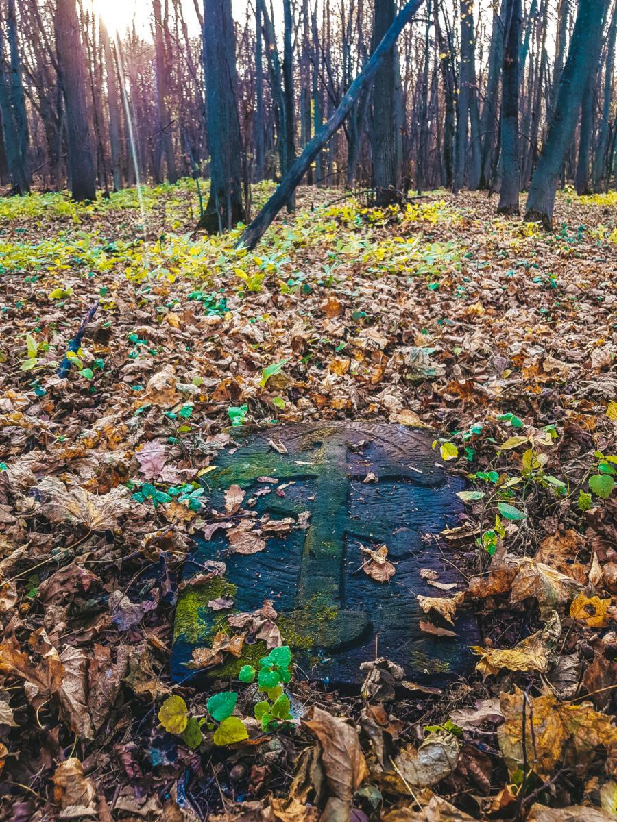 Фото с заброшенного кладбища - Моё, Кладбище, Заброшенное, Россия, Фотография, Видео, Длиннопост