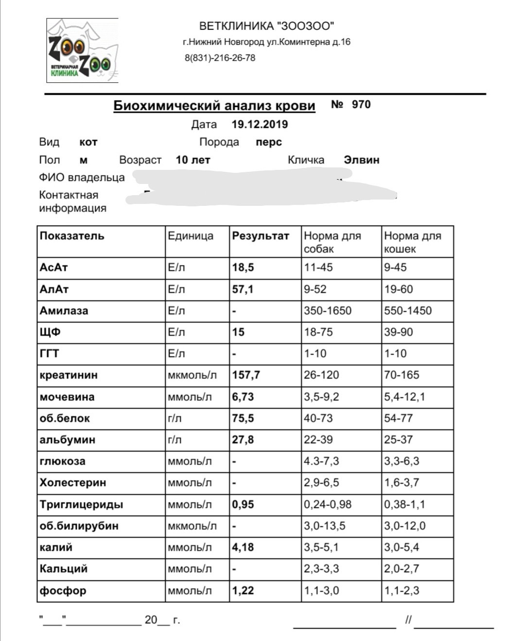 Нужна помощь. Заболел кот. Часть 2 - Моё, Помощь, Длиннопост, Ветеринария, Кот