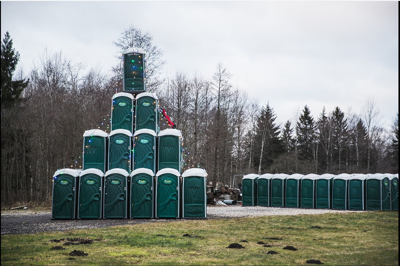 Christmas trees are different - Christmas trees, Christmas, New Year, You like the Christmas tree, Toilet, Longpost