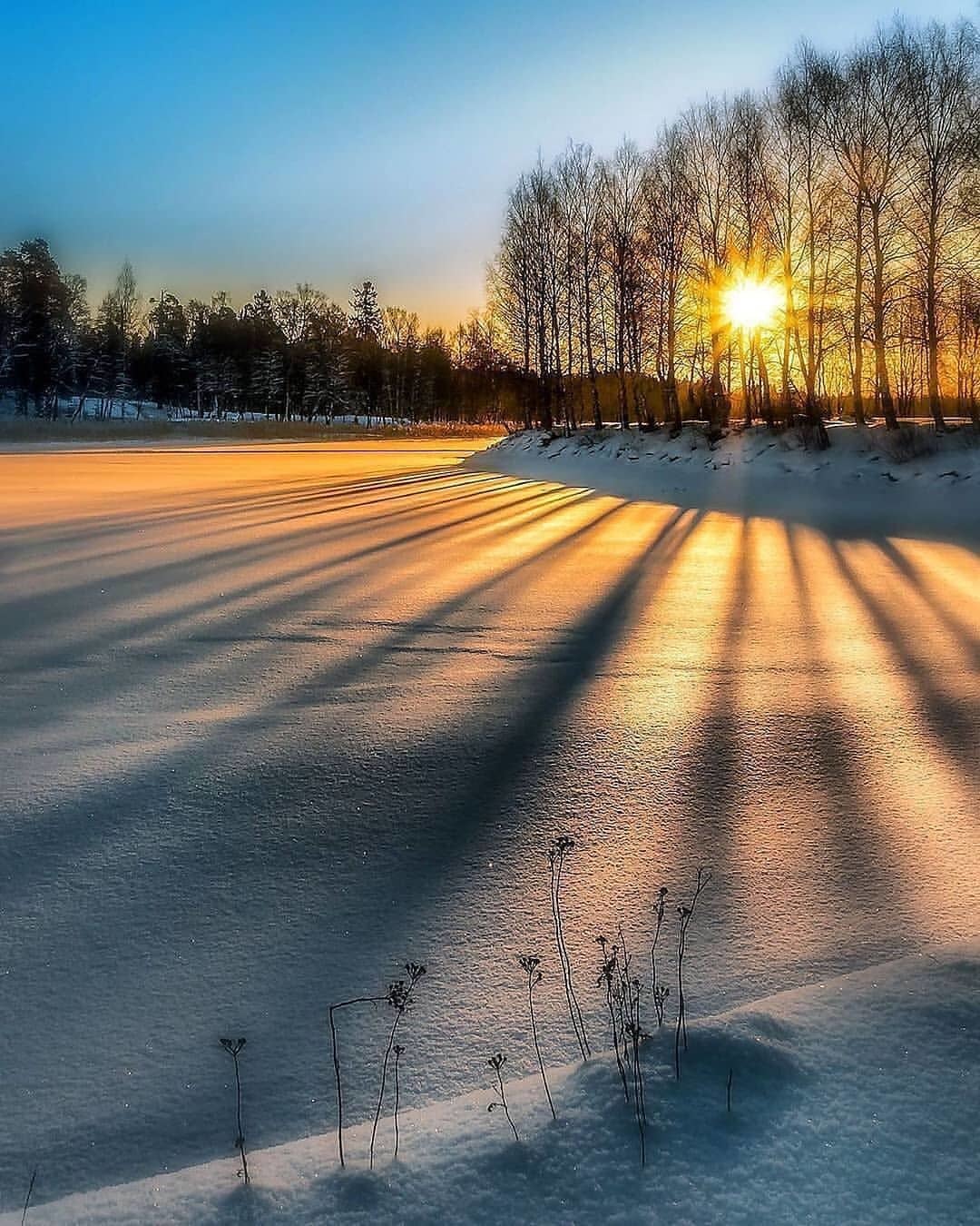 Frosty morning - Morning, Snow, Winter, Nature, The photo