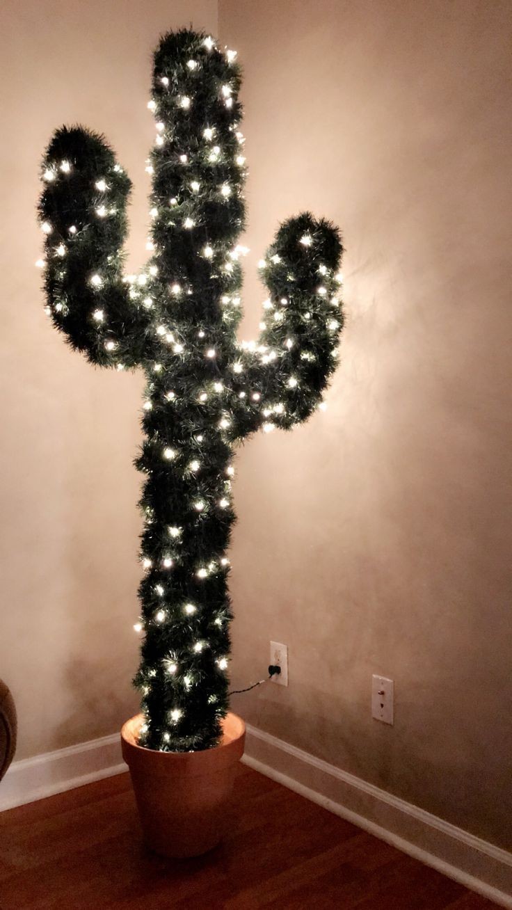 Cactusomania - Cactus, Fantasy, Longpost