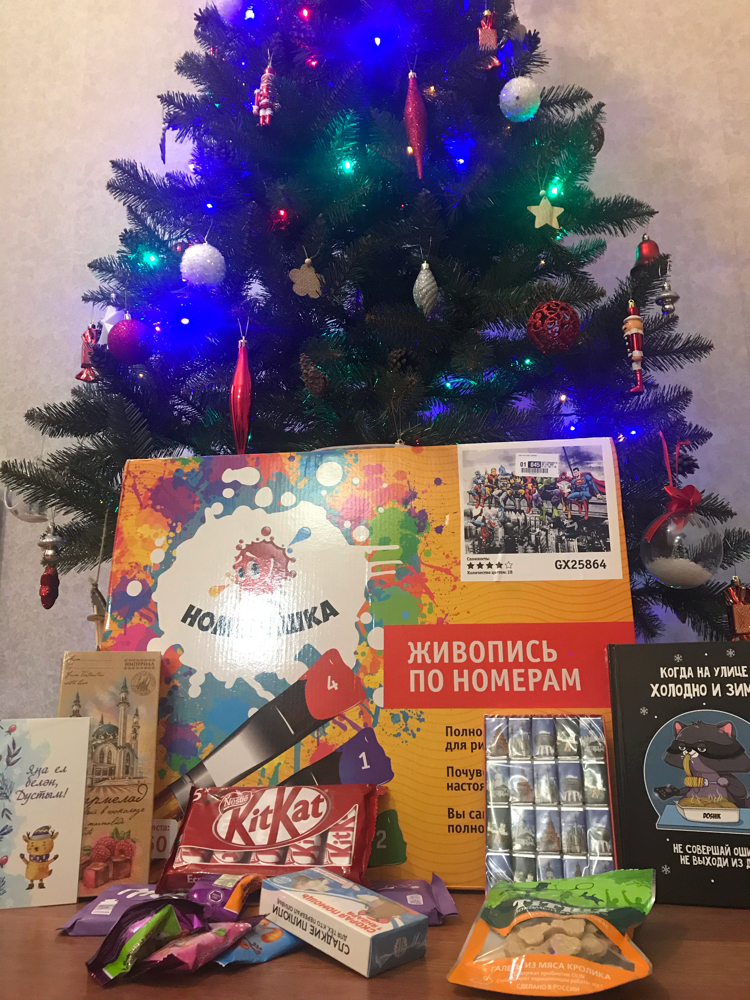 New Year's exchange from Mirrochka. Kazan-Zheleznodorozhny - My, New Year's exchange from Mirrochka, Secret Santa, Longpost, Gift exchange, Gift exchange report, Dog