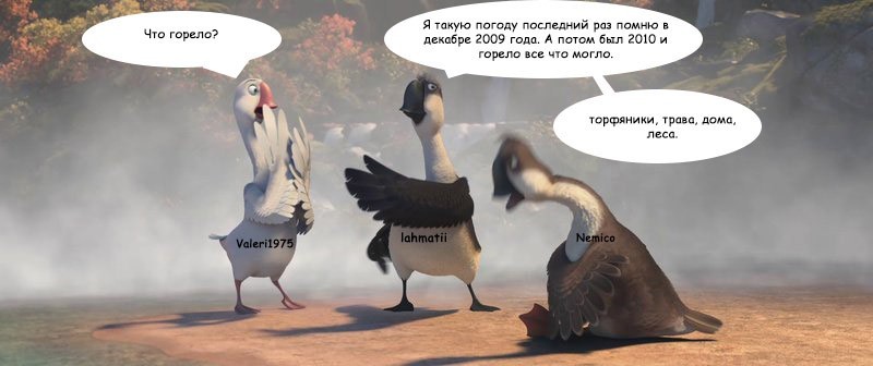 About the weather and geese - My, Гусь, Picture with text, Talk