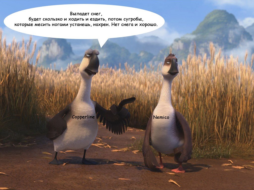 About the weather and geese - My, Гусь, Picture with text, Talk