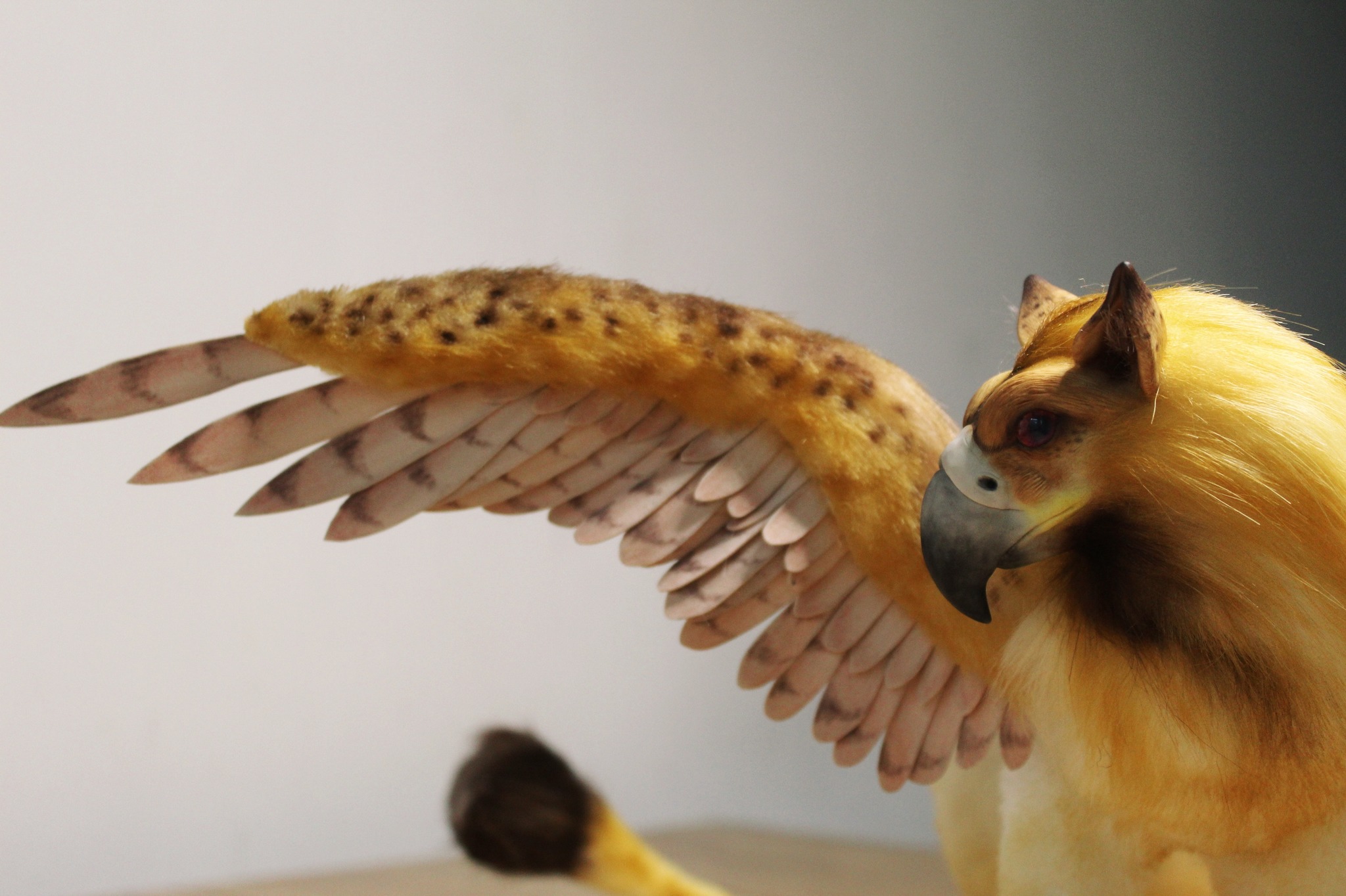 Griffin - My, Polymer clay, Needlework with process, Handmade, With your own hands, Лепка, Fantasy, Video, Longpost