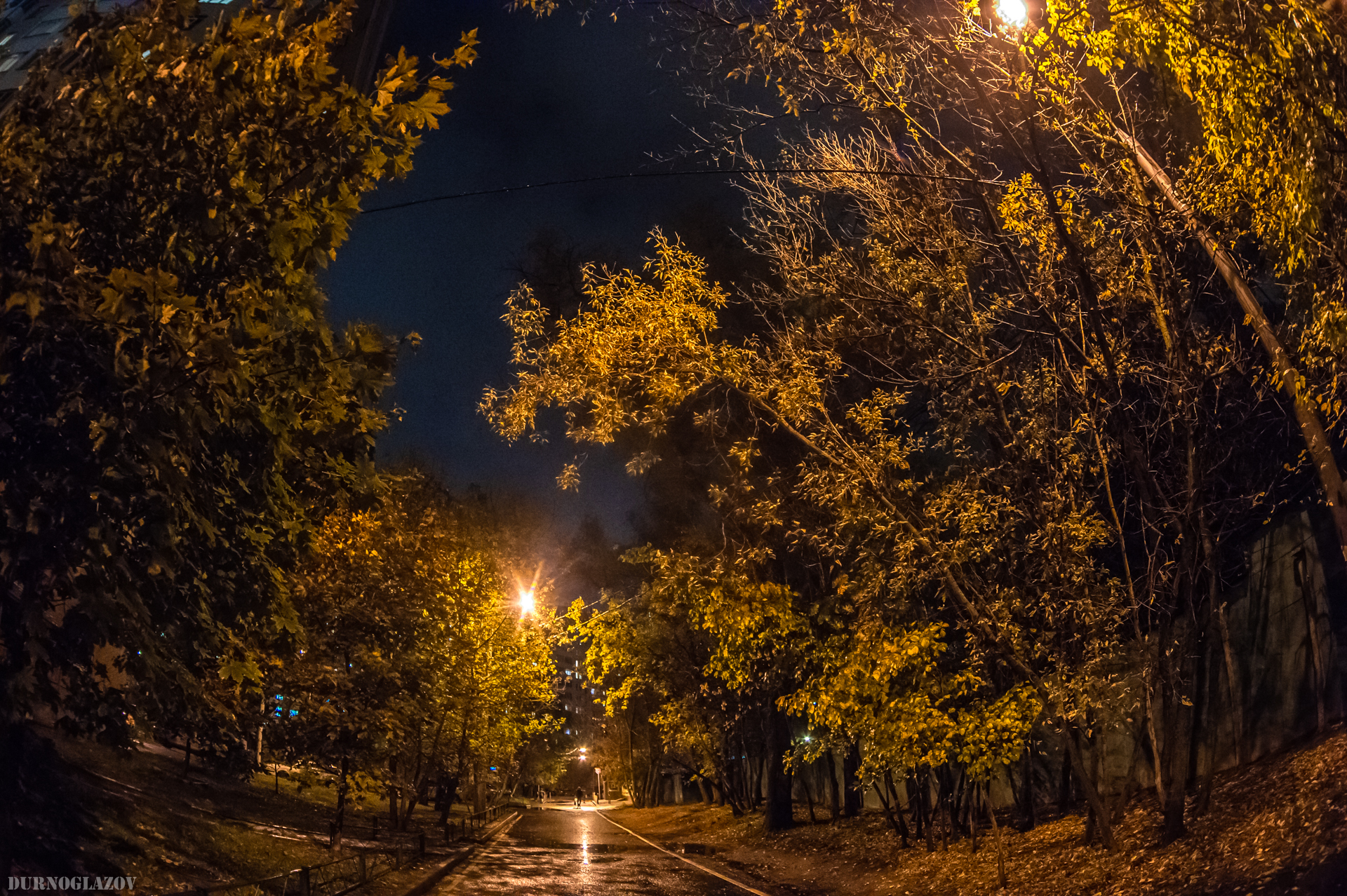 Осенняя пасмурная ночь...