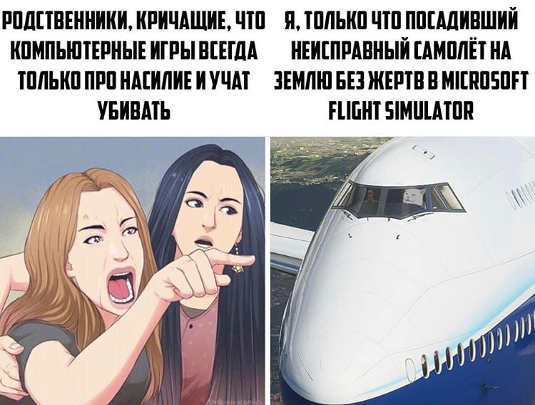 Когда совсем не во что играть... - Игры, Геймеры, Microsoft, Microsoft flight Simulator X, Две женщины орут на кота