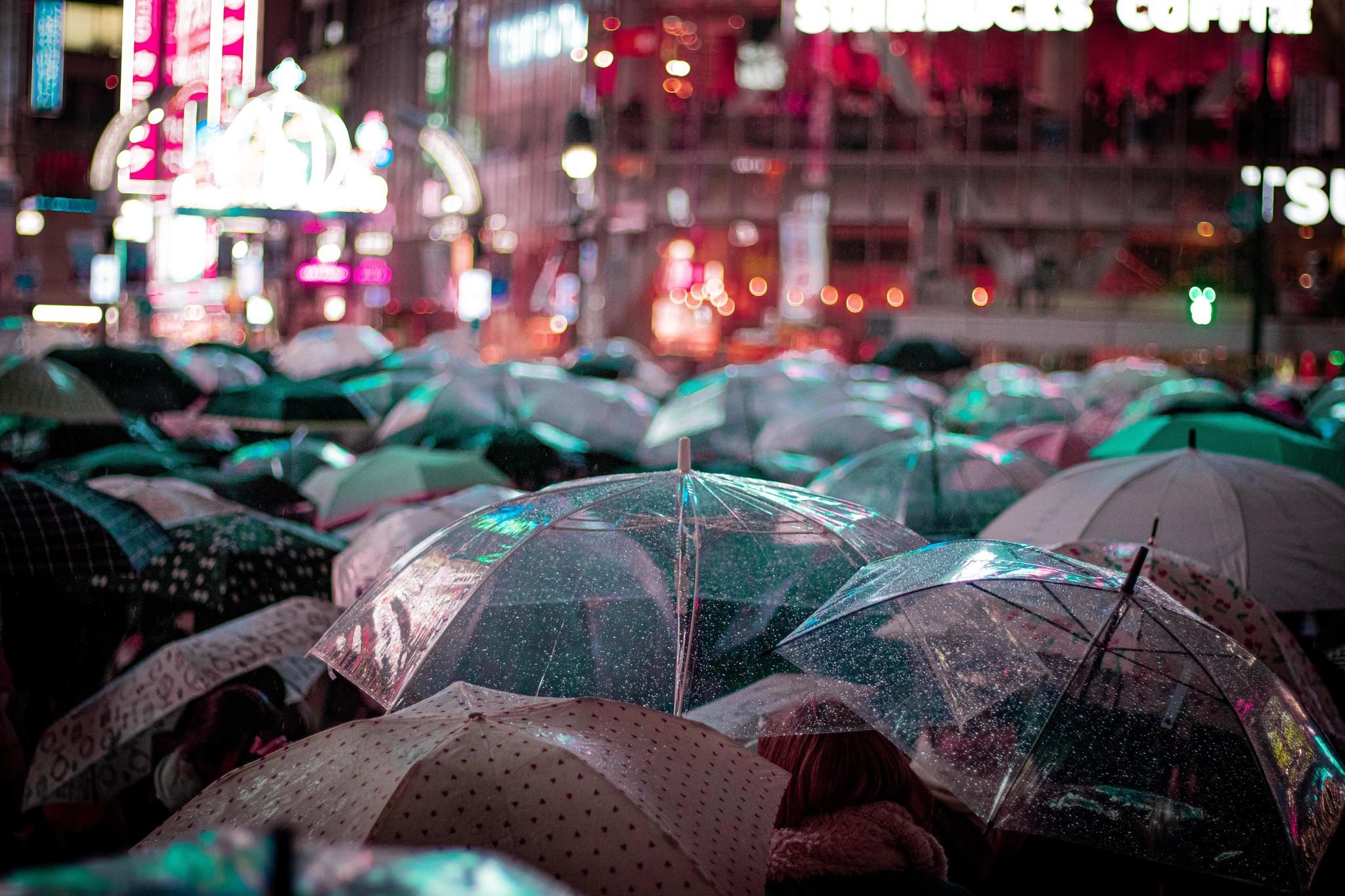 Rainy evening in Tokyo - Tokyo, The photo, Rain, Night, Umbrella