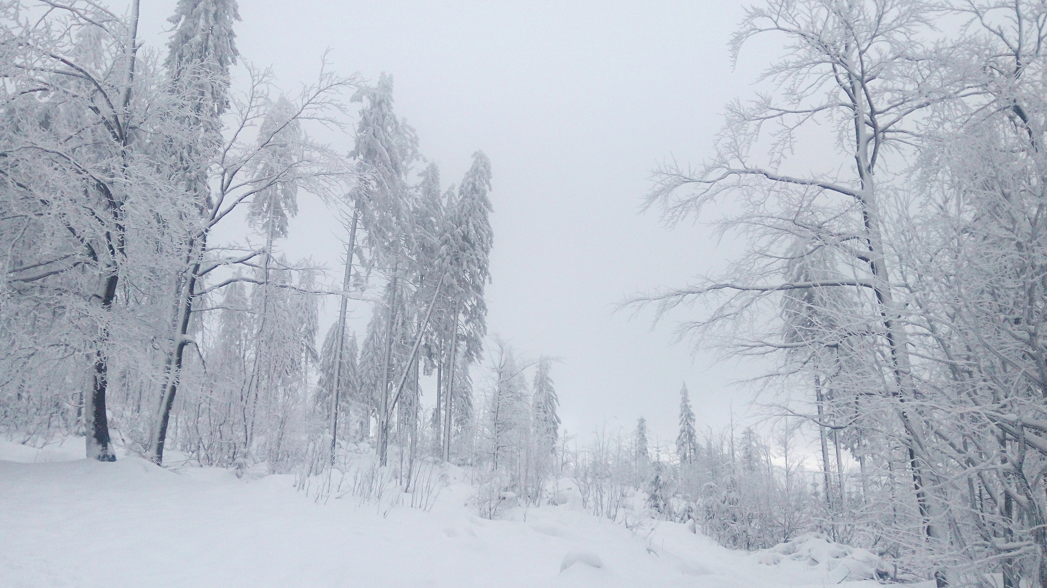 Winter - My, Longpost, Poland, Living abroad, Work abroad, Travels, Winter, The photo, The mountains