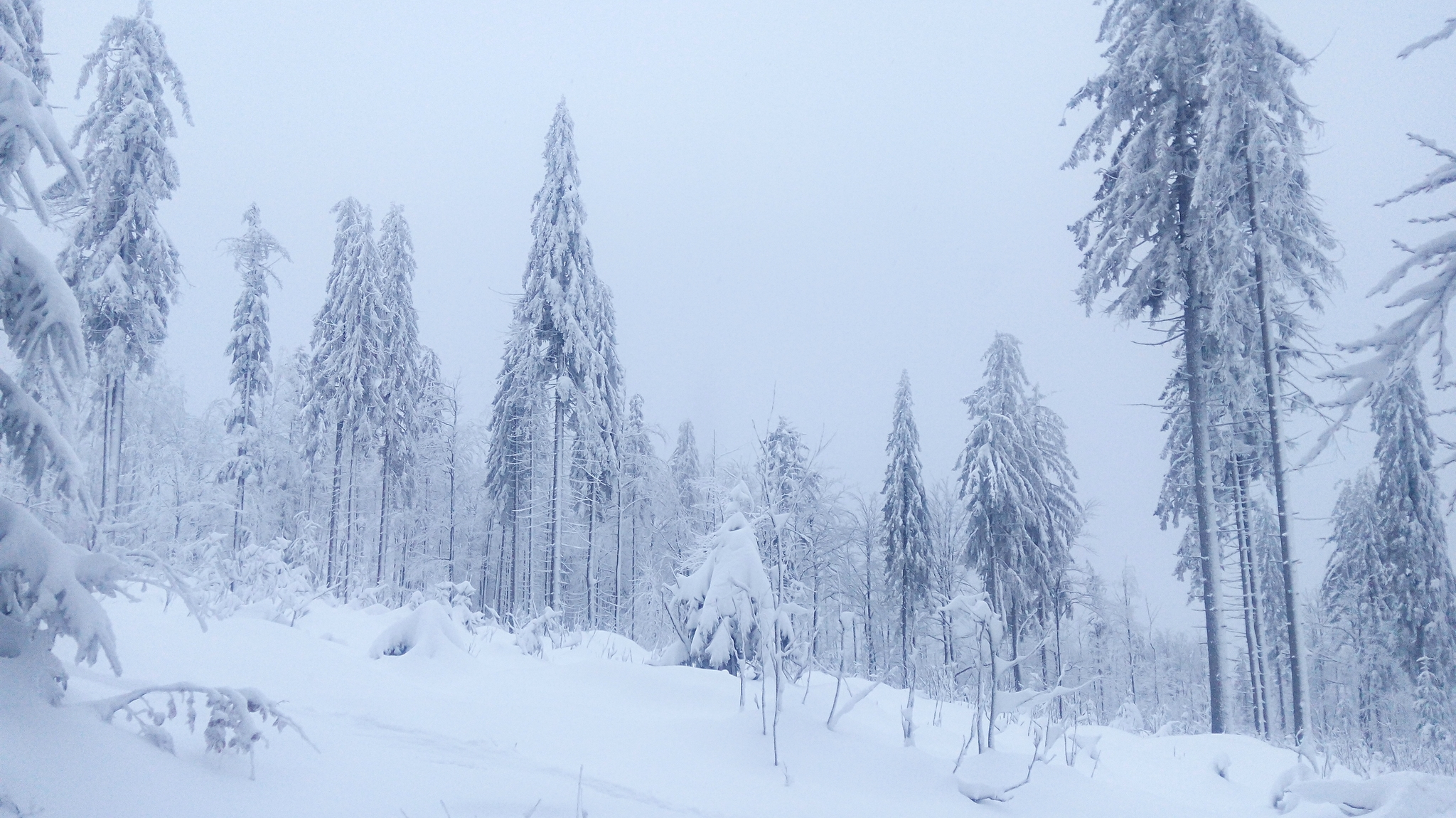 Winter - My, Longpost, Poland, Living abroad, Work abroad, Travels, Winter, The photo, The mountains