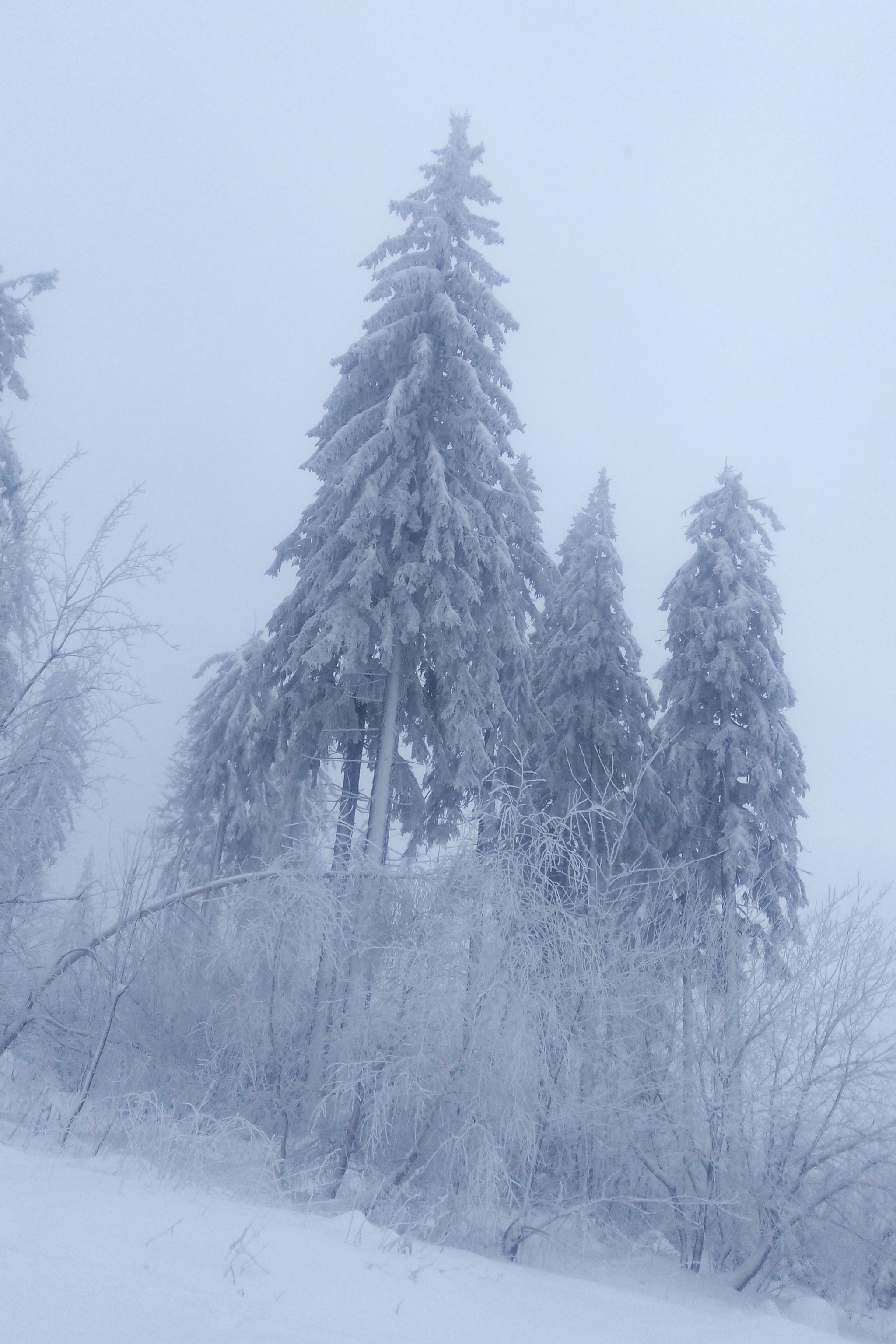 Winter - My, Longpost, Poland, Living abroad, Work abroad, Travels, Winter, The photo, The mountains