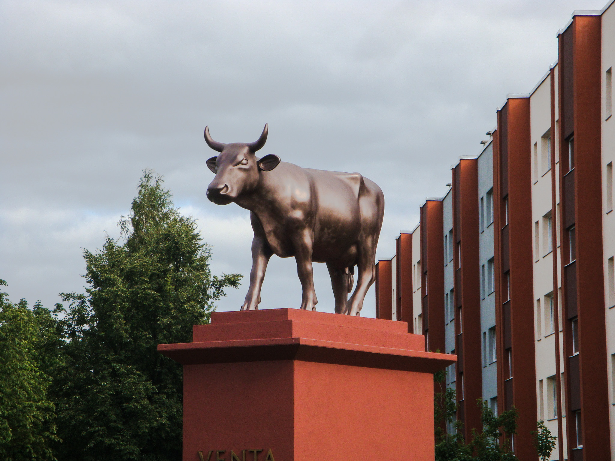 Cows and linear algebra - My, Cow, Algebra, Travels, Latvia, Ventspils, Longpost