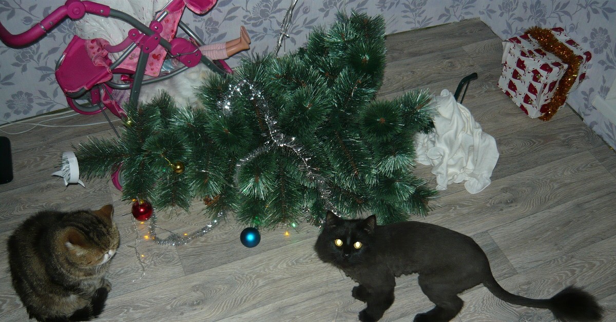 She herself... - cat, New Year, Christmas tree, Fail