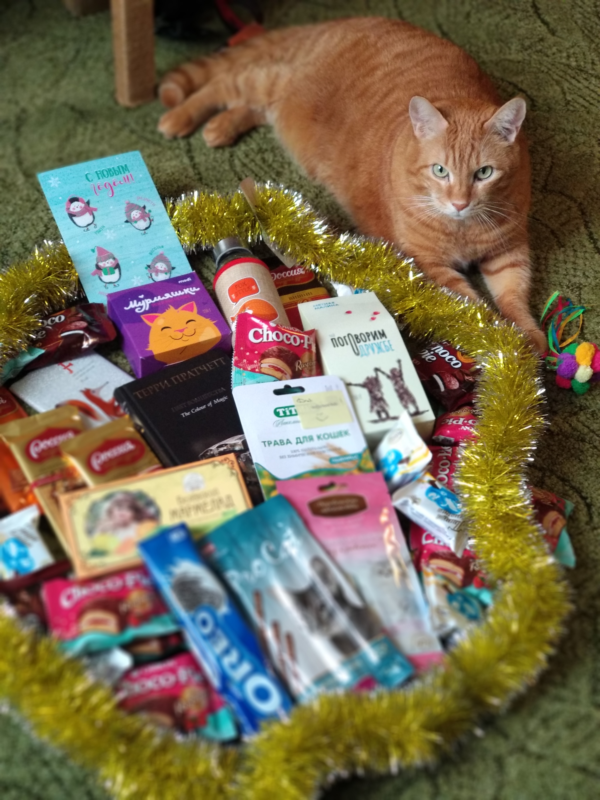 ADM. Moscow - Almaty - Gift exchange, Secret Santa, New Year, cat