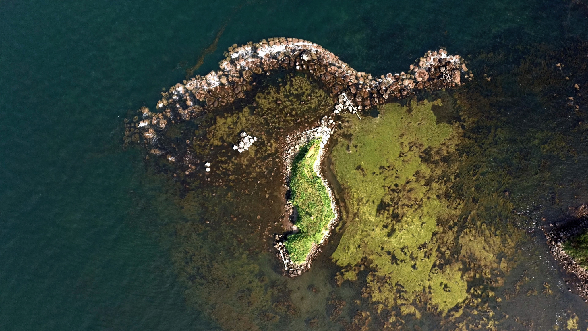 Island and basking seals :) - My, Drone, Sea, Island, The photo, Дальний Восток, Seal