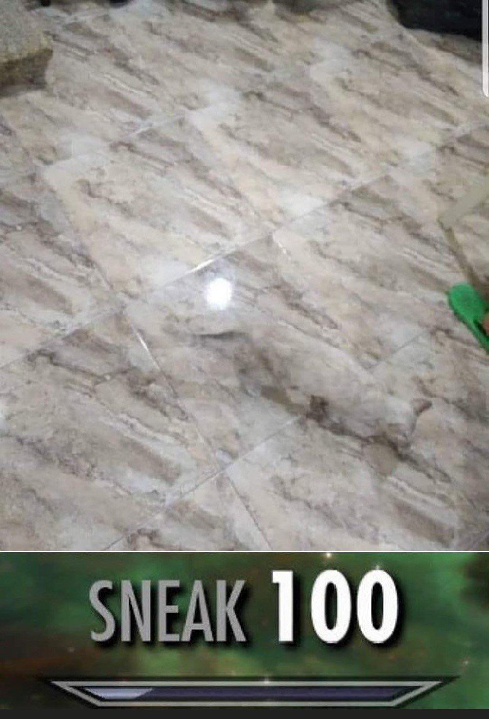 Stealth 100 - Skyrim, The Elder Scrolls V: Skyrim, cat, Humor