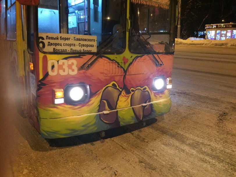 Assuming direct control to trolleybus! - Троллейбус, Авто, Общественный транспорт, Птицы, Попугай, Новокузнецк