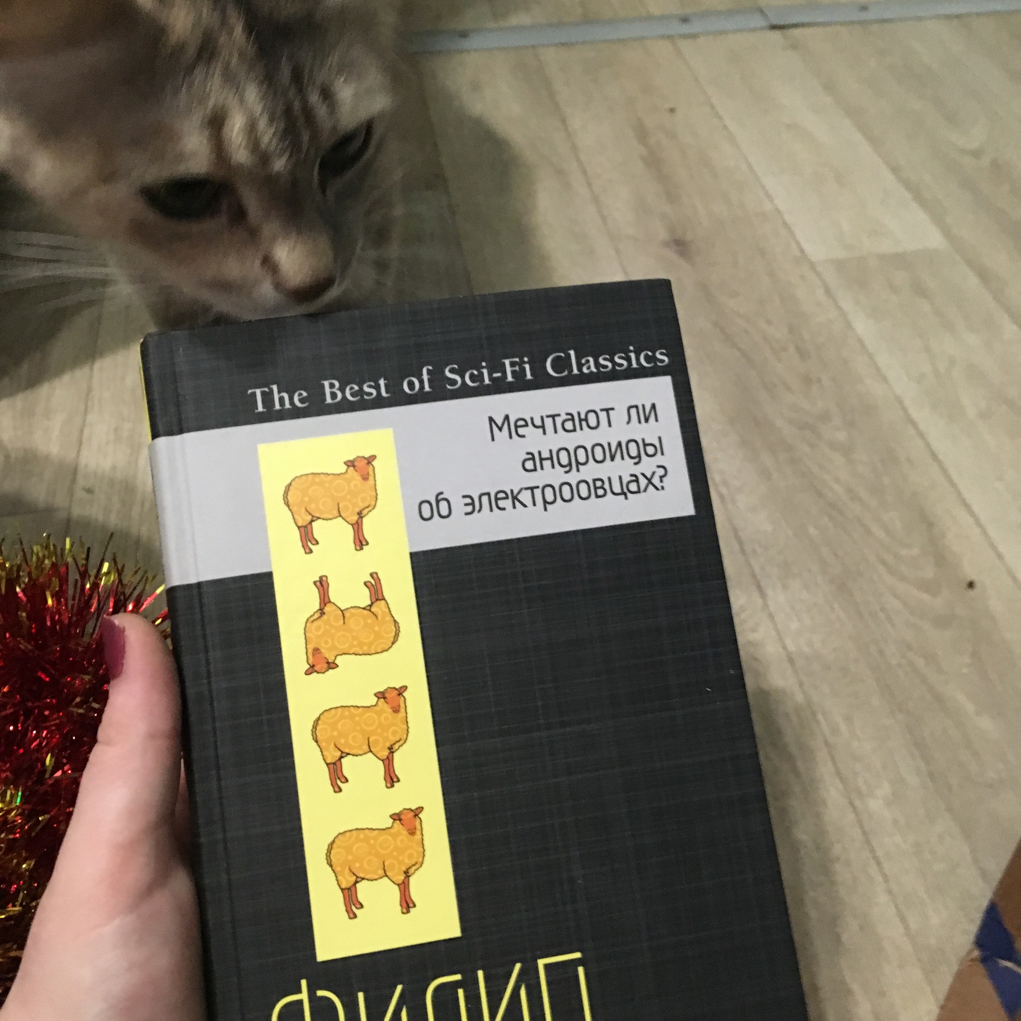 Феодосия-Сяськелово. Продолжение Новогоднего обмена  подарками от @Mirrochka - Моё, Новогодний обмен от Миррочки, Новогодний обмен от Миррочки, Крым, Крым, Отзыв, Отзыв, Подарки, Подарки, Длиннопост, Длиннопост, Тайный Санта, Тайный Санта, Обмен подарками, Обмен подарками, Отчет по обмену подарками, Отчет по обмену подарками