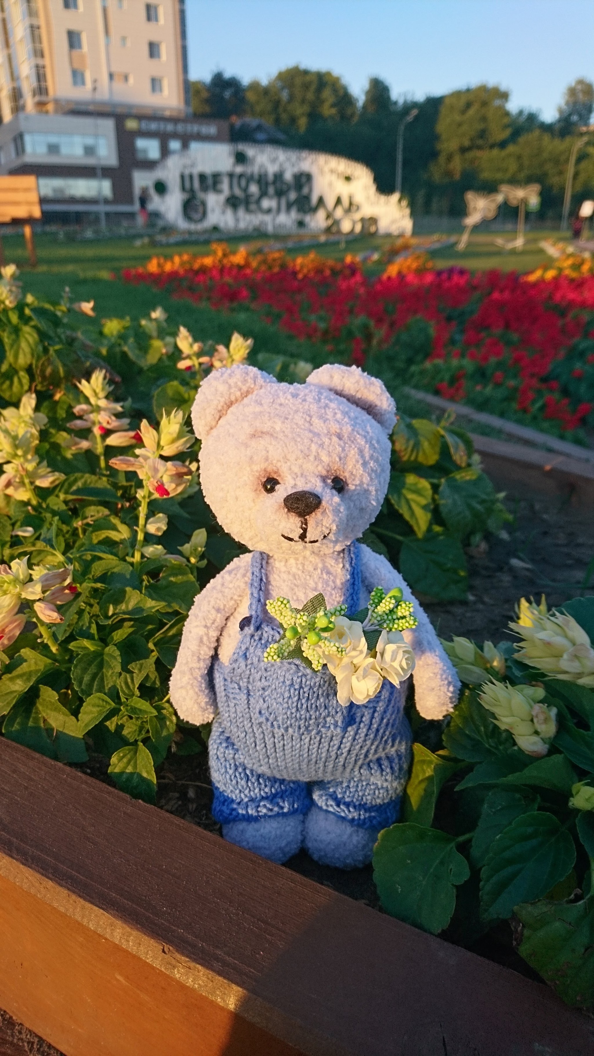 Traveling bears - My, Amigurumi, With your own hands, The Bears, Handmade, Teddy bear, Teddybear, Longpost