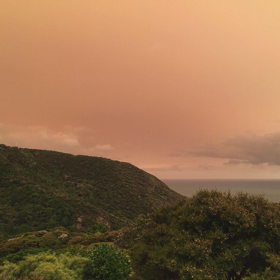 Has the apocalypse already arrived? - My, New Zealand, Australia, Fire, The photo, Apocalypse, Longpost