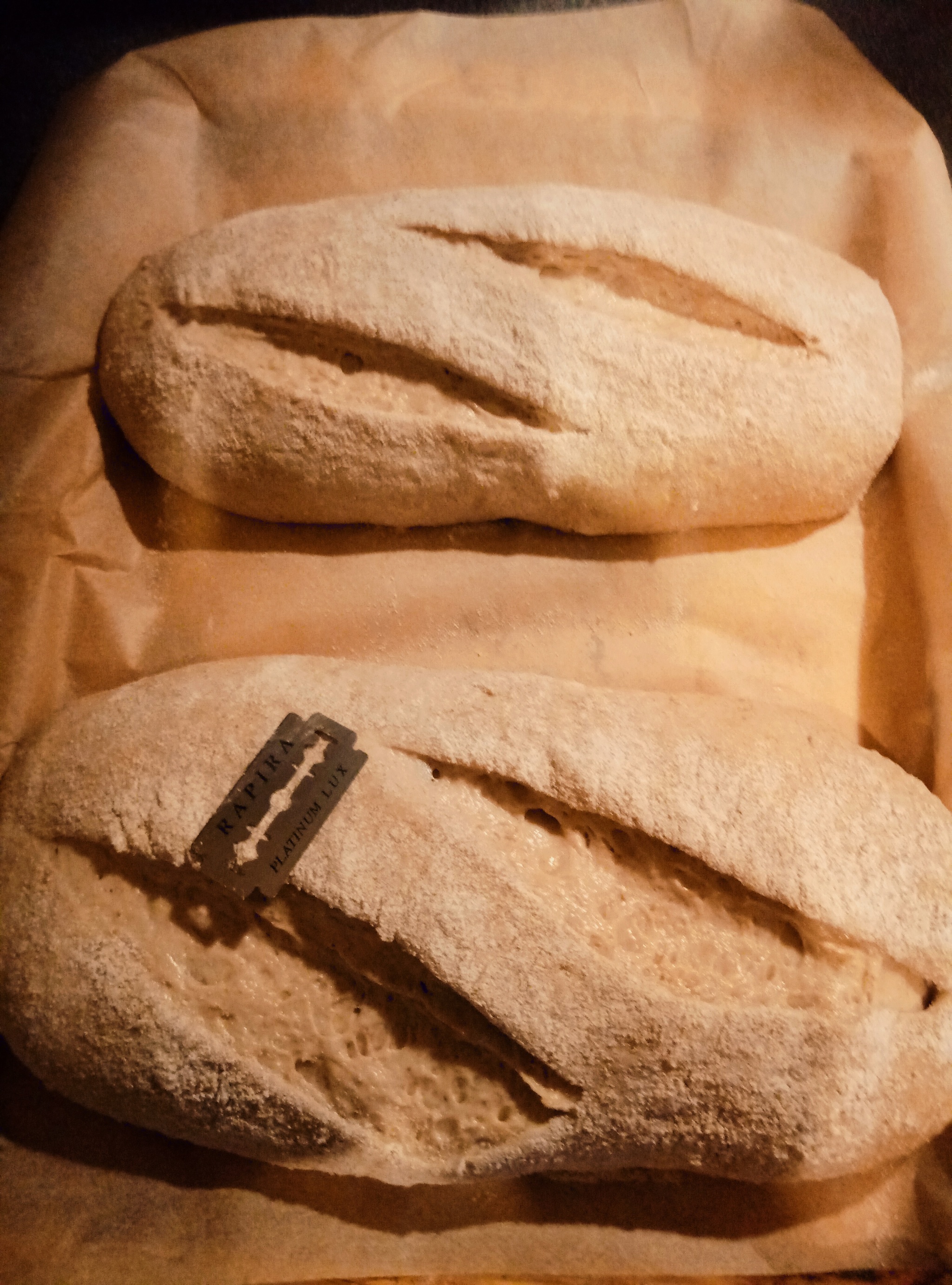 Buckwheat bread - My, Bread, Cooking, Dough, Longpost, Recipe, Food, Oven