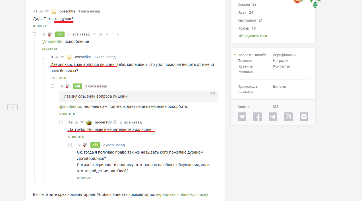 Case law on Pikabu - My, Mat, Rules, Pick-up suggestions, Longpost, Insult