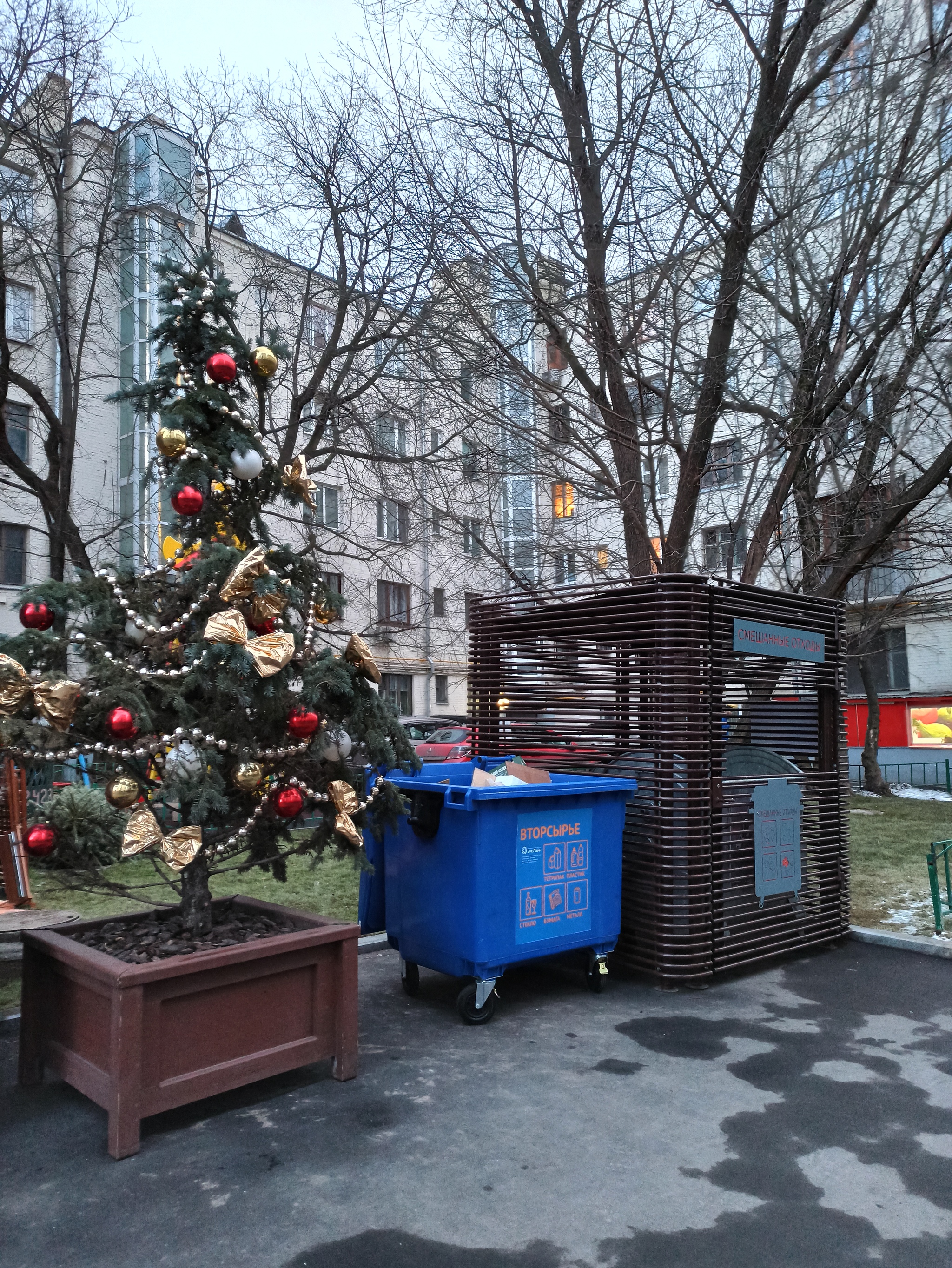 The time has come, or completely in my Moscow for... - My, Christmas trees, Garbage bins, It's time to throw it away