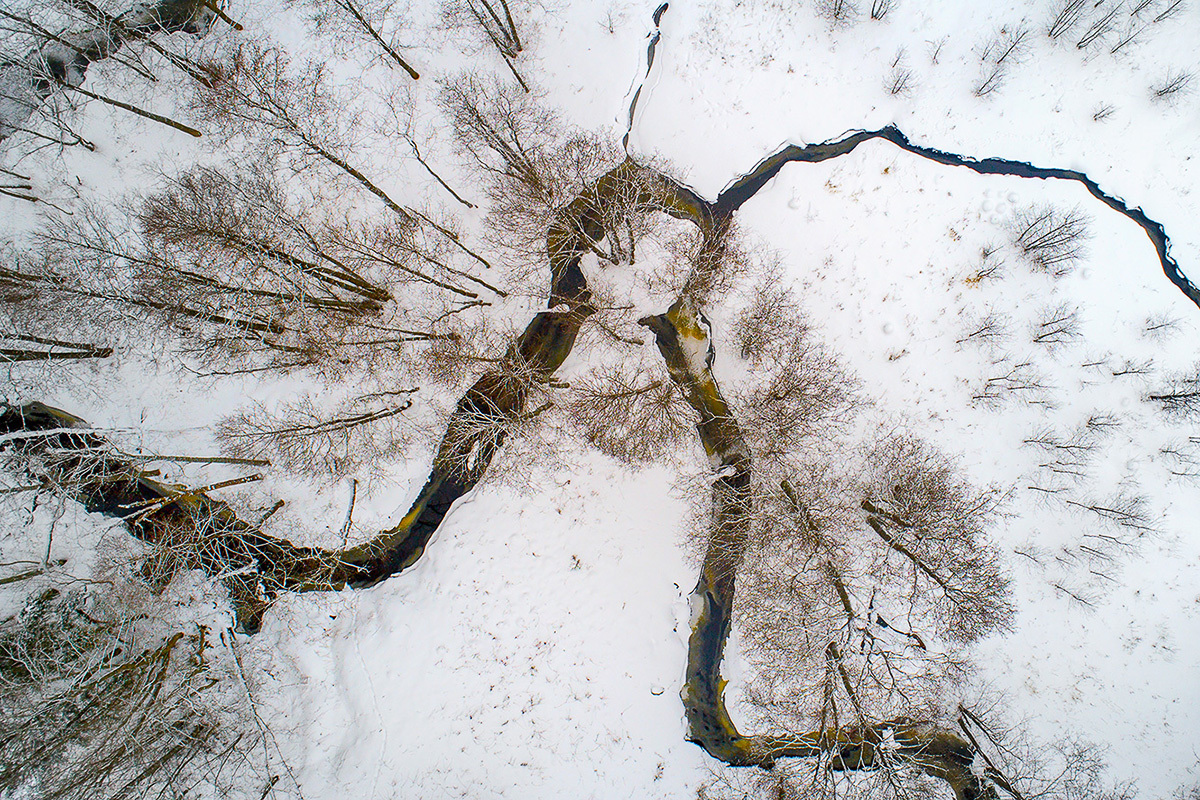 Belarus. Reserve Krasny Bor - Republic of Belarus, Krasny Bor, Nature, The photo, Longpost