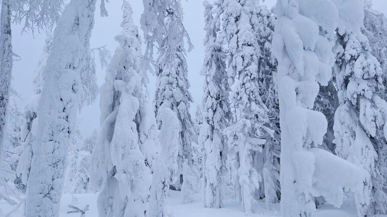 Ural Skyrim - My, Winter, Nature, The photo, Longpost, Snow, Forest