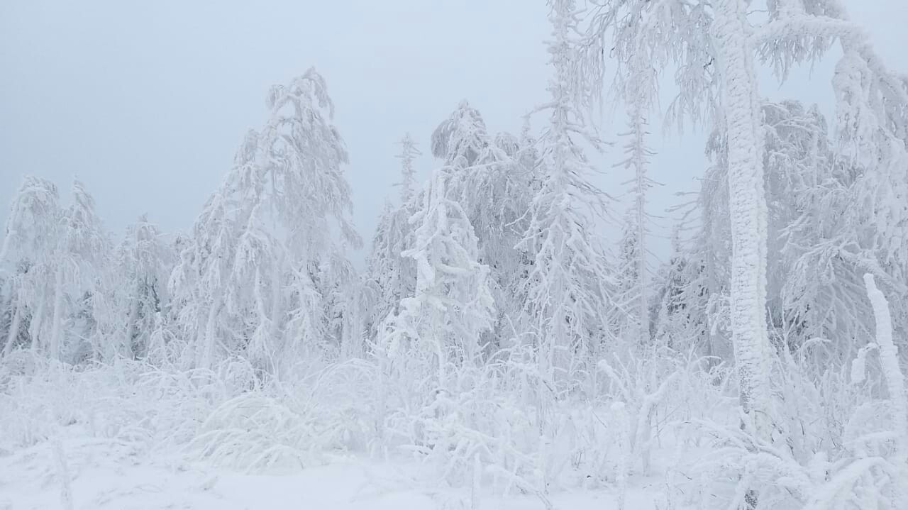 Ural Skyrim - My, Winter, Nature, The photo, Longpost, Snow, Forest