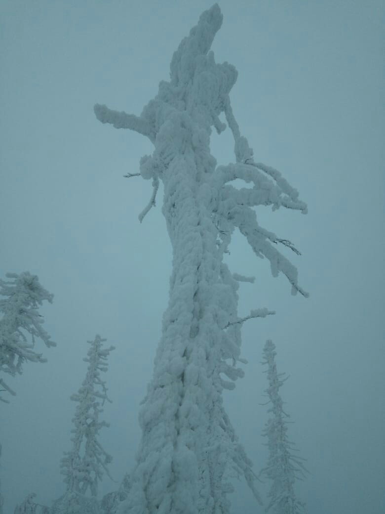 Ural Skyrim - My, Winter, Nature, The photo, Longpost, Snow, Forest