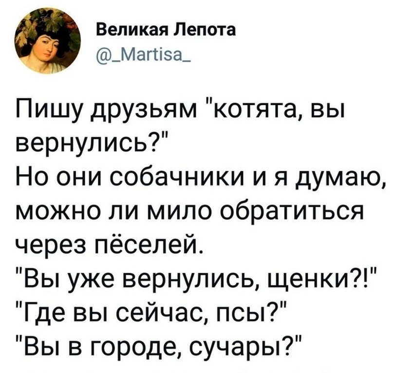 Пишем друзьям - Twitter, Скриншот, Собачники