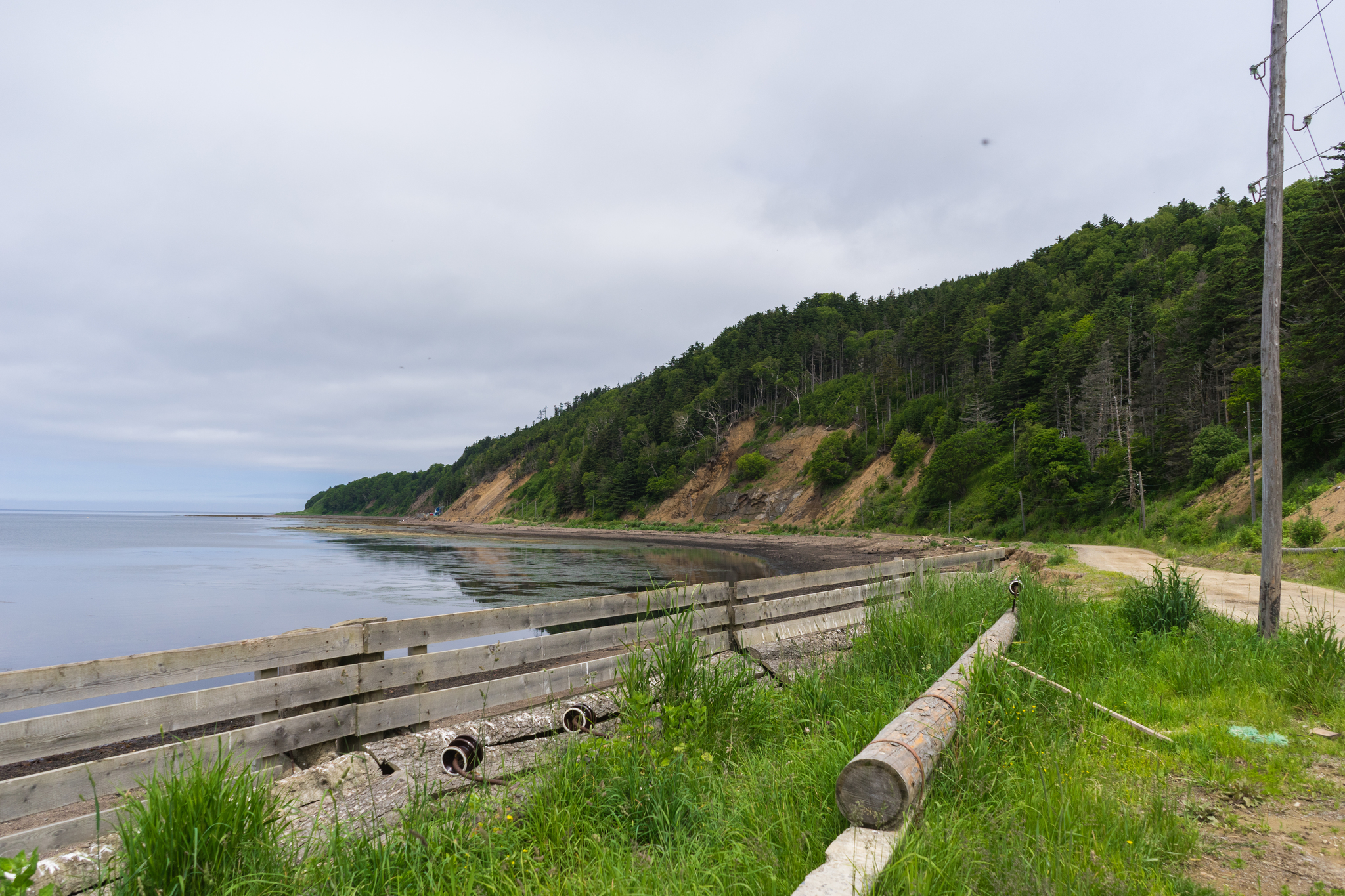 Photos from walks 3: Sakhalin - My, The photo, Walk, Nature, Longpost