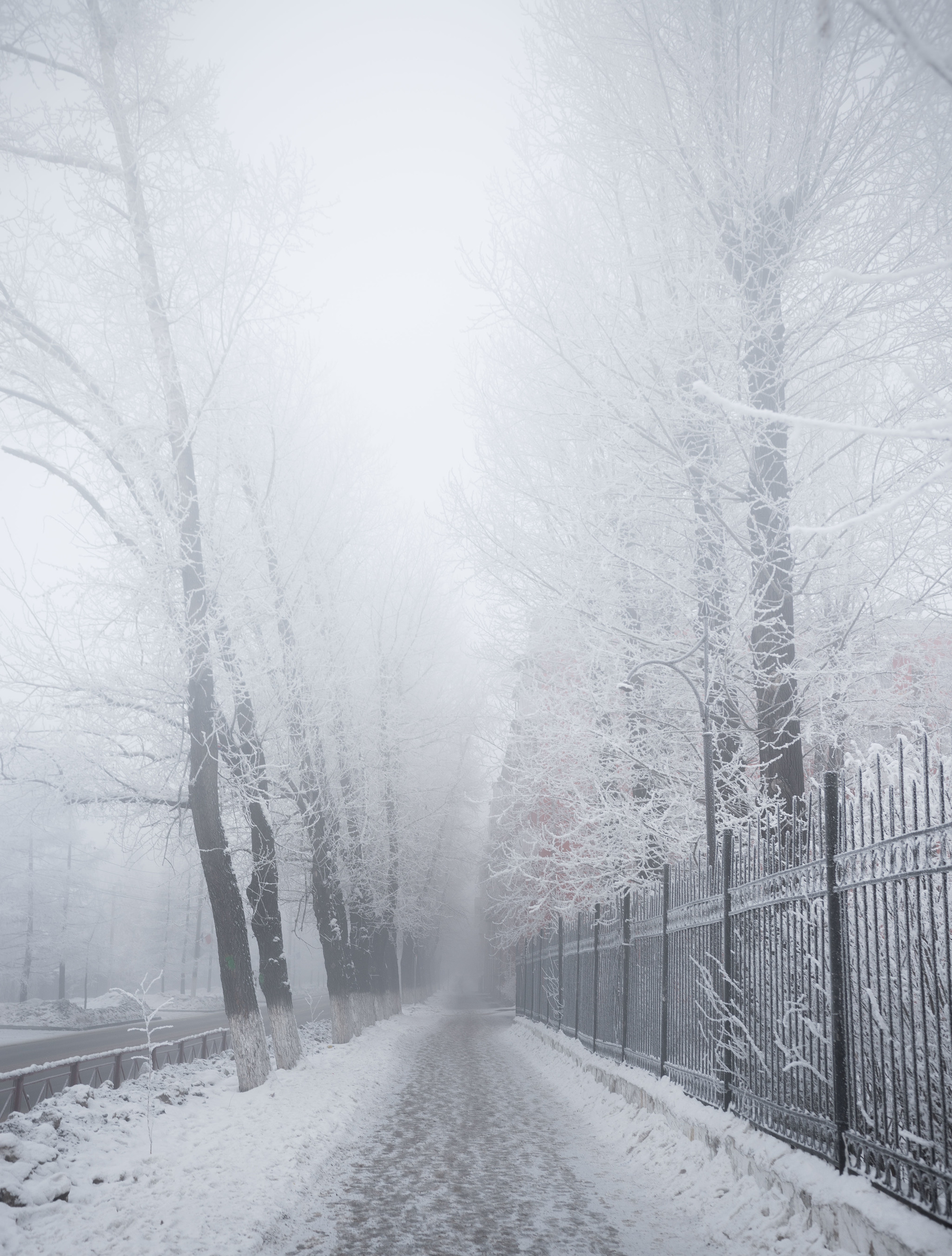 Fogs in the city - My, Fog, Siberia, freezing, Irkutsk, Longpost