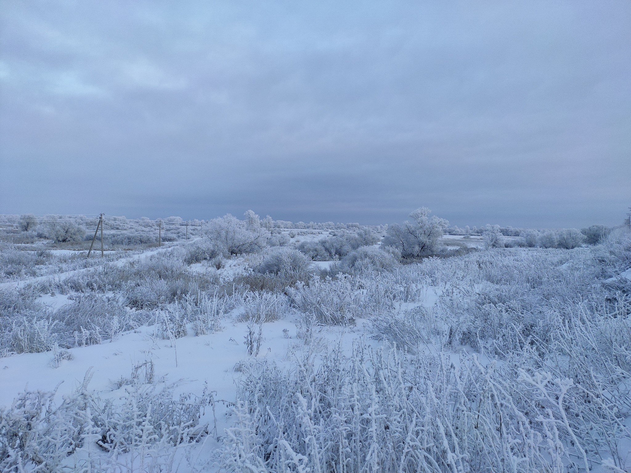 Fabulous winter - My, The photo, Winter, beauty, freezing, Snow