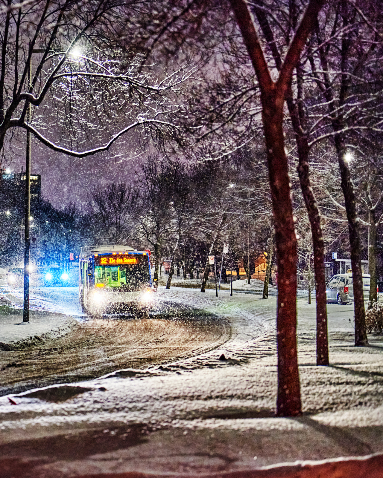 Snow and rain - My, Montreal, Bus