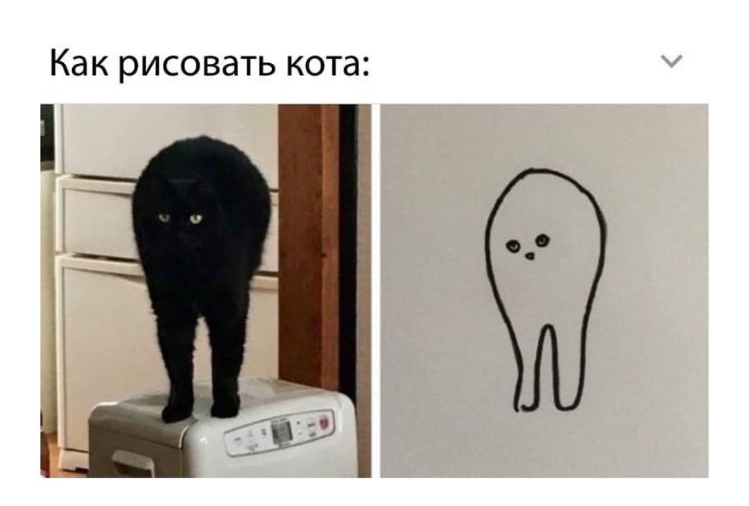 How to draw a cat - Picture with text, cat, Drawing, Humor