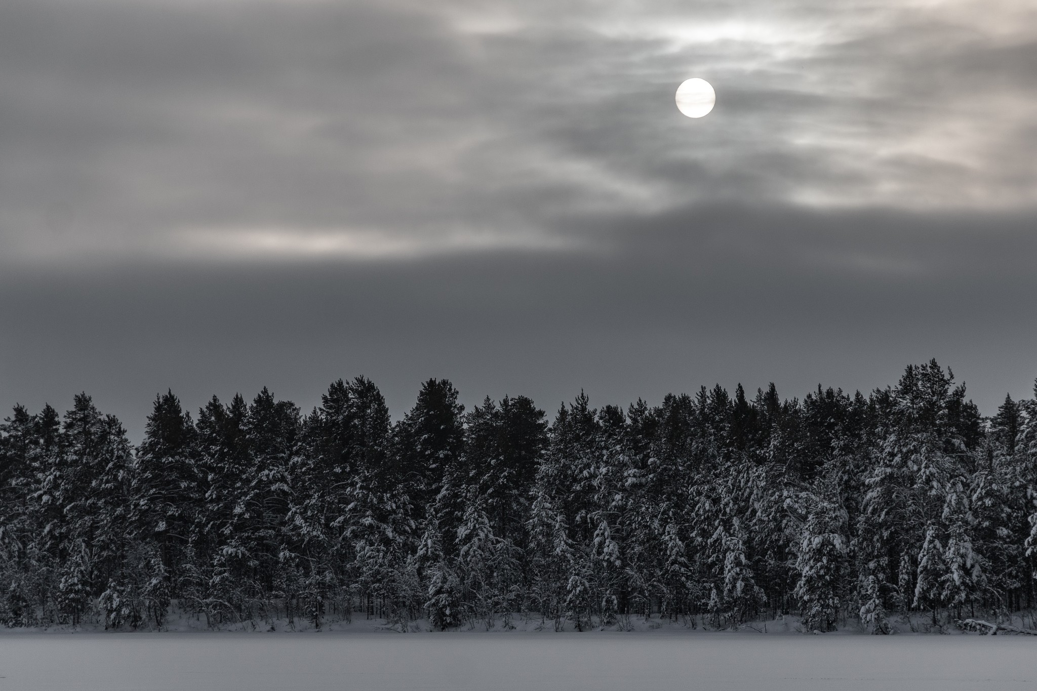 Winter sun of the taiga - My, Beginning photographer, KhMAO, Landscape, Canon 70d, The sun, The photo