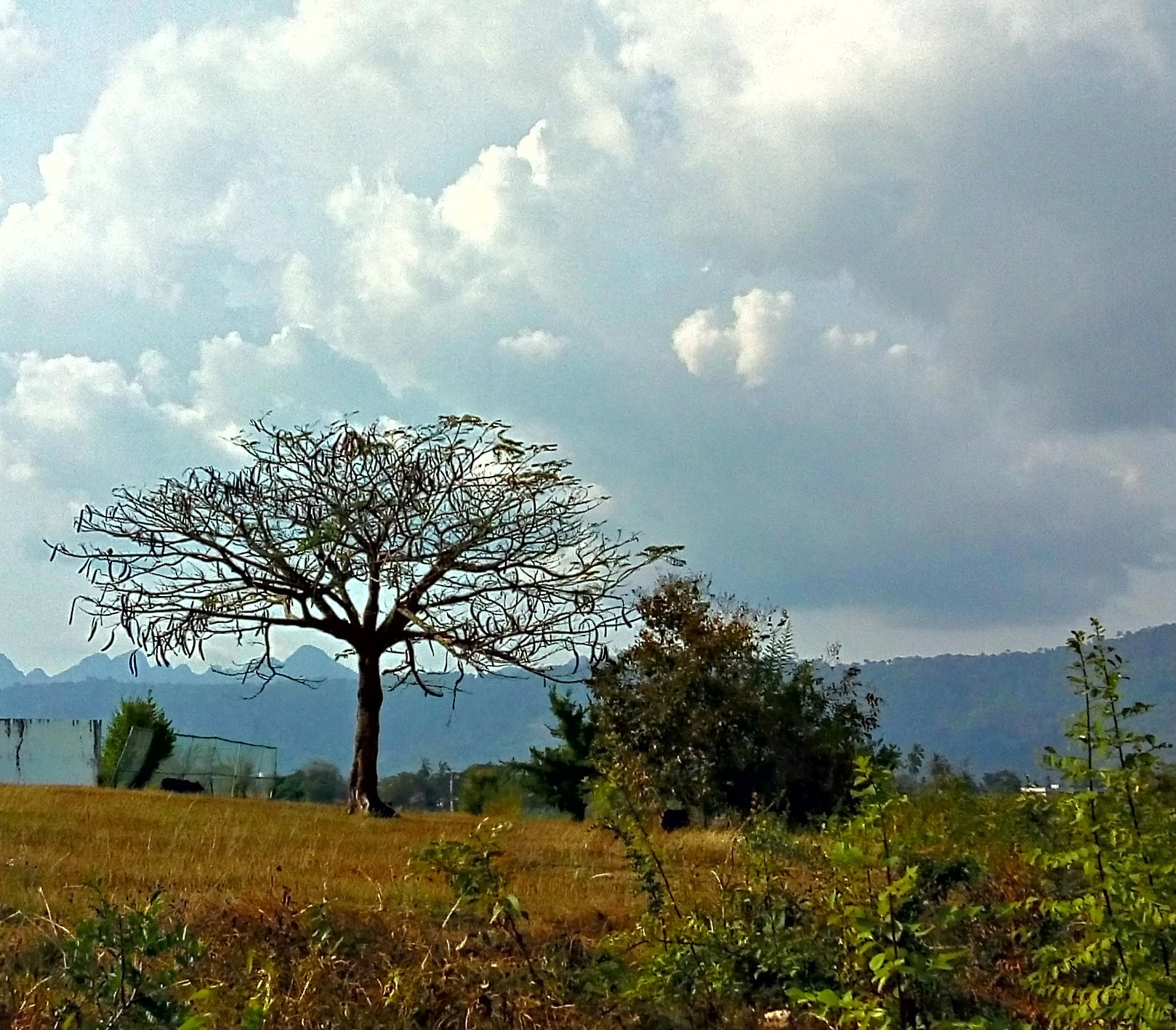 Route 23. Langkawi-Thailand - My, Malaysia, Thailand, Hitch-hiking, Travels, Langkawi, Didgeridoo, Durian, Longpost