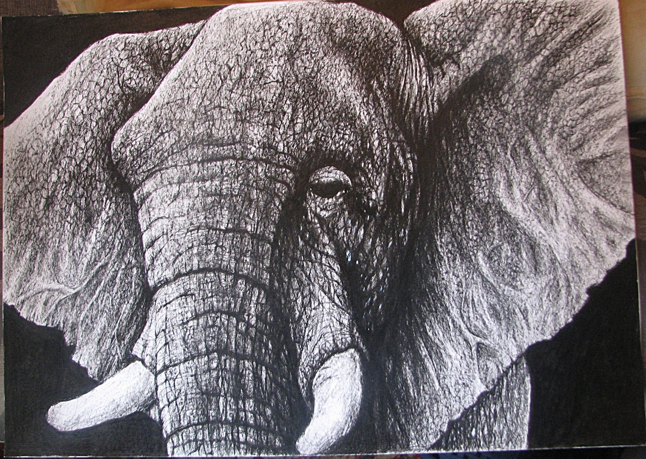 Elephant, graphics with gel pen - My, Graphics, Pen drawing, Elephants, Longpost