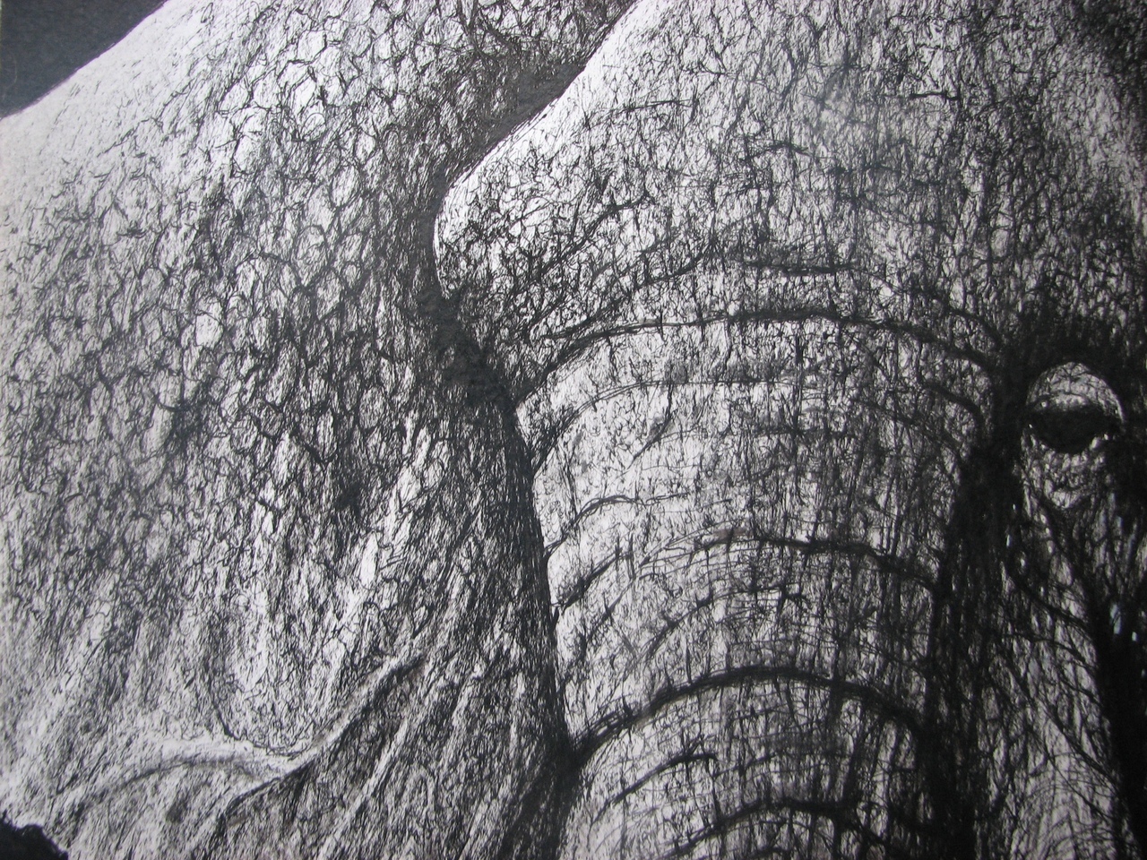 Elephant, graphics with gel pen - My, Graphics, Pen drawing, Elephants, Longpost