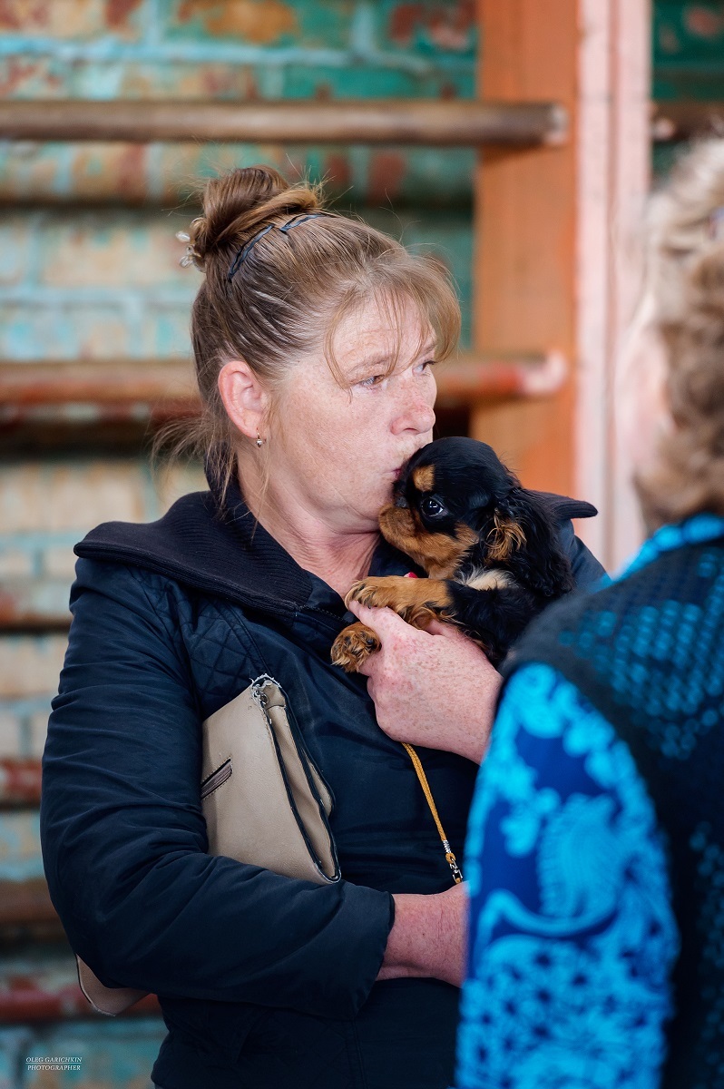 Another series of reportage photographs from dog shows held in the South of Russia - enjoy viewing and good mood))) - My, Dog, Dogs and people, Dog lovers, Dog days, Dog show, Animalistics, Longpost