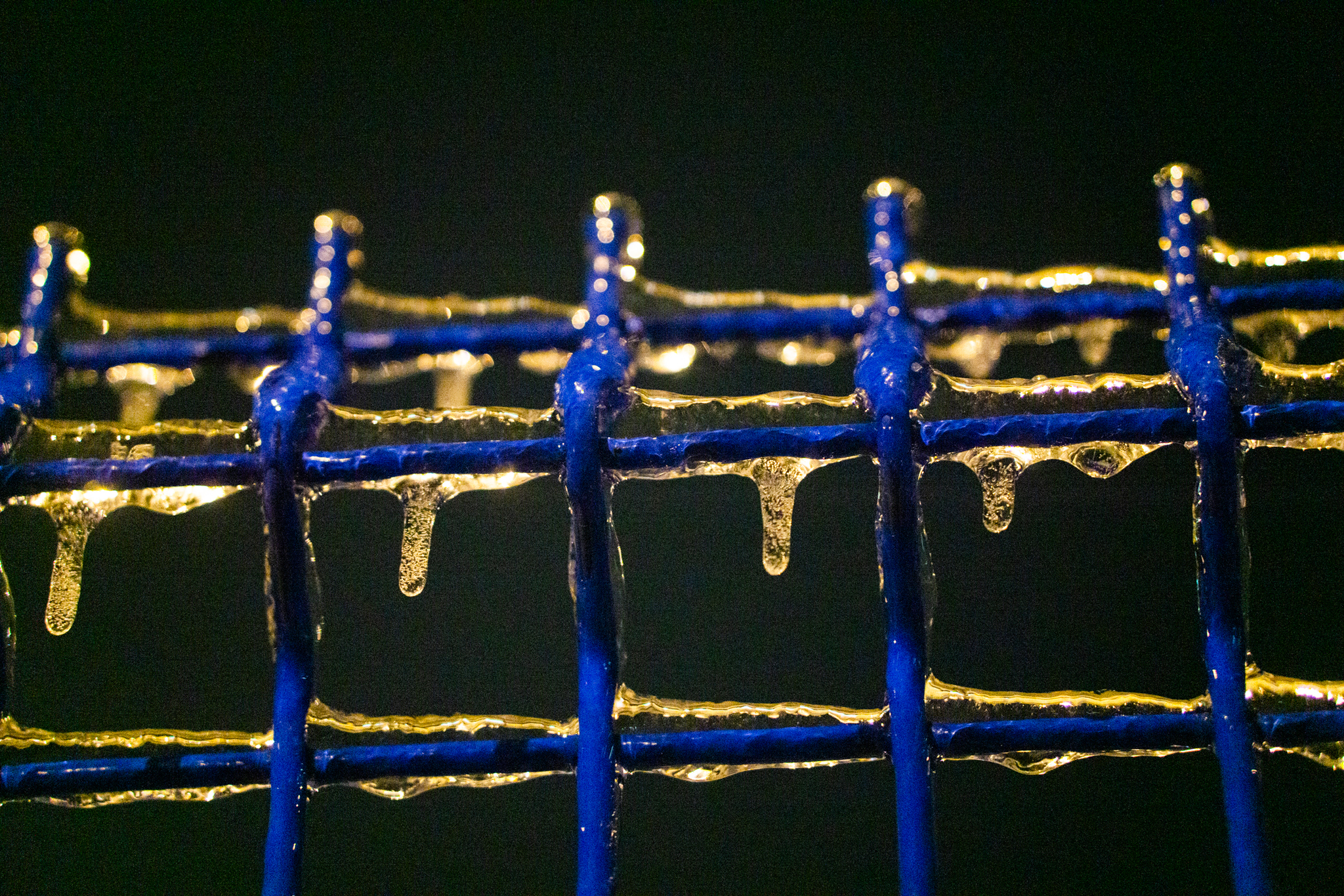 freezing rain - My, The photo, Macro photography, Ice, Winter, Longpost, Freezing rain