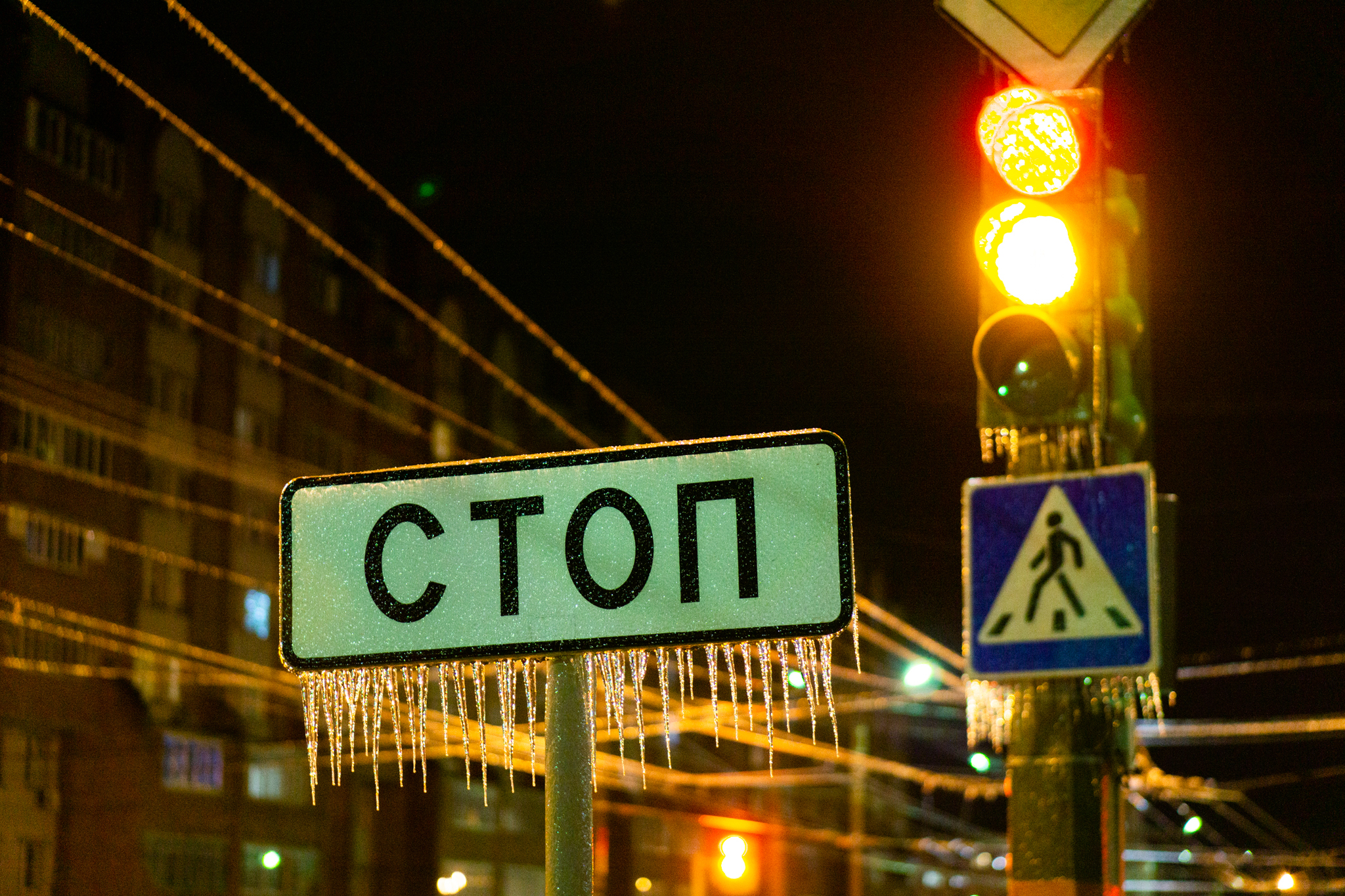 freezing rain - My, The photo, Macro photography, Ice, Winter, Longpost, Freezing rain