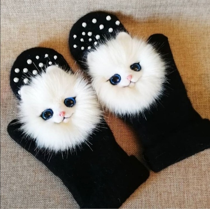 White cats walk in pairs)) - My, Mittens, Handmade, Animal husbandry, Needlework without process, Kittens, Video, Longpost