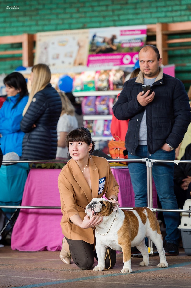 Another series of reportage photos from dog shows held in the South of Russia - enjoy viewing and good mood)) - My, Dog, Dogs and people, Dog lovers, Dog days, Dog show, Animalistics, Longpost